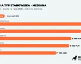 Wykres pokazuje, co robi analityk biznesowy: porównuje zarobki analityków różnych specjalizacji, od bezpieczeństwa po dane, w zależności od formy zatrudnienia.
