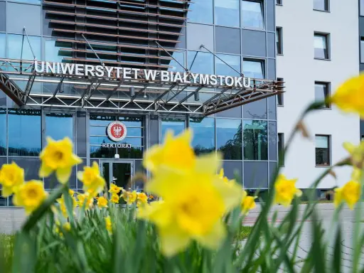 Wiosna kwitnie przed Uniwersytetem w Białymstoku. Wśród żółtych żonkili widać wejście do rektoratu, gdzie studenci psychologii w Białymstoku rozpoczynają swoją ścieżkę rozwoju.