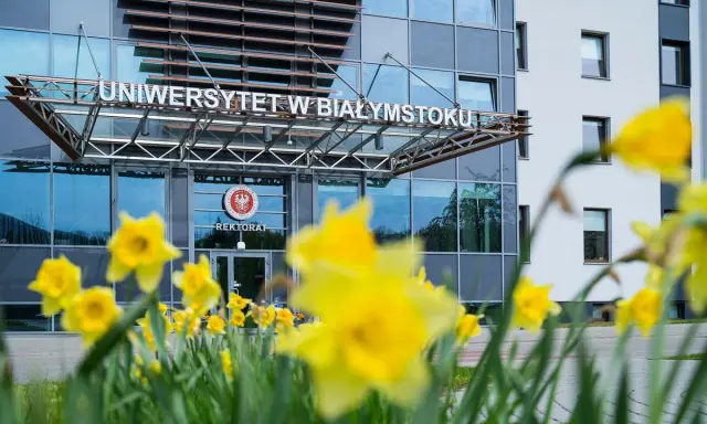 Wiosna kwitnie przed Uniwersytetem w Białymstoku. Wśród żółtych żonkili widać wejście do rektoratu, gdzie studenci psychologii w Białymstoku rozpoczynają swoją ścieżkę rozwoju.