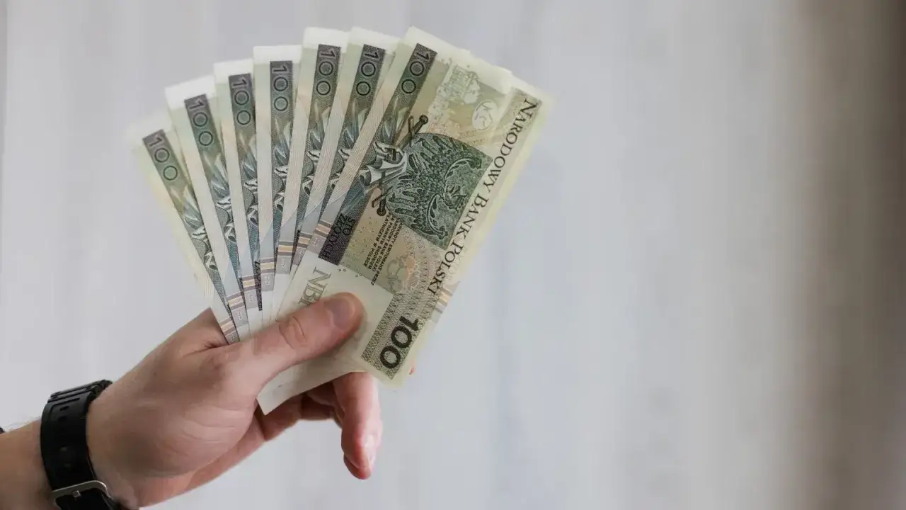 Dłoń trzyma wachlarz banknotów 100 zł. Czy to nagroda dla kogoś, kto wie, kim jest humanista?